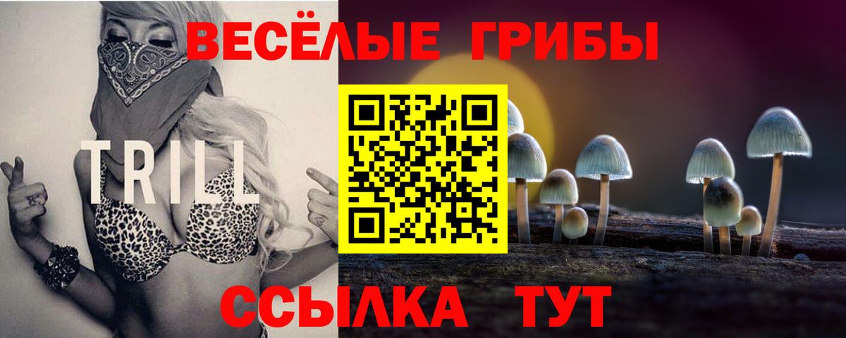 Псилоцибиновые грибы Psilocybe Артём