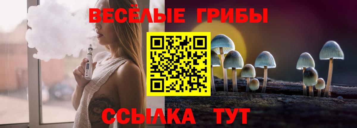 Артём  Галлюциногенные грибы Magic Shrooms  Галлюциногенные грибы MAGIC MUSHROOMS  наркотики  Вход с VPN 